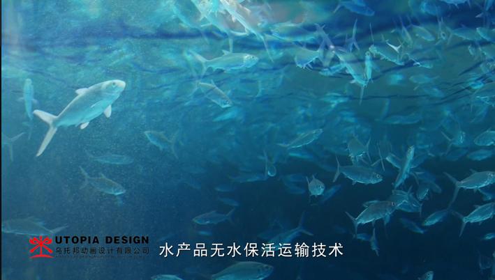 水產(chǎn)品無水?；钸\輸技術三維動畫三維動畫