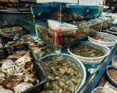 南京農(nóng)副產(chǎn)品批發(fā)市場大全