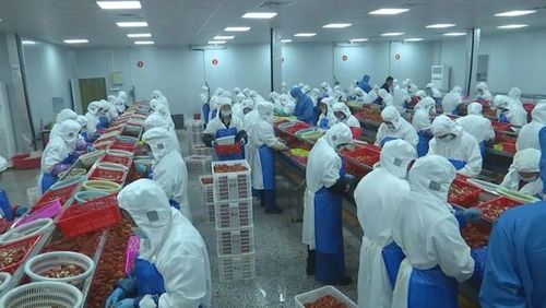 江陵縣蝦兵蟹將食品是一家從事小龍蝦,螃蟹等水產(chǎn)品深加工的
