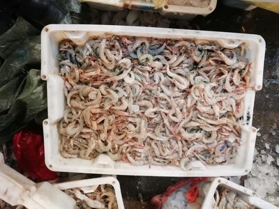 海頭蘇魯水產(chǎn)品批發(fā)市場