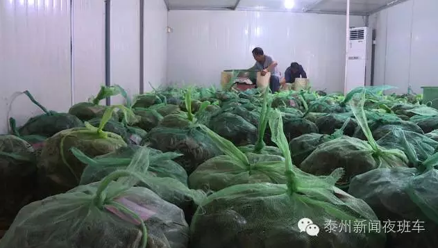 據(jù)了解,龍騰水產(chǎn)品市場是興化市螃蟹交易市場之一,高峰期能達到每天40