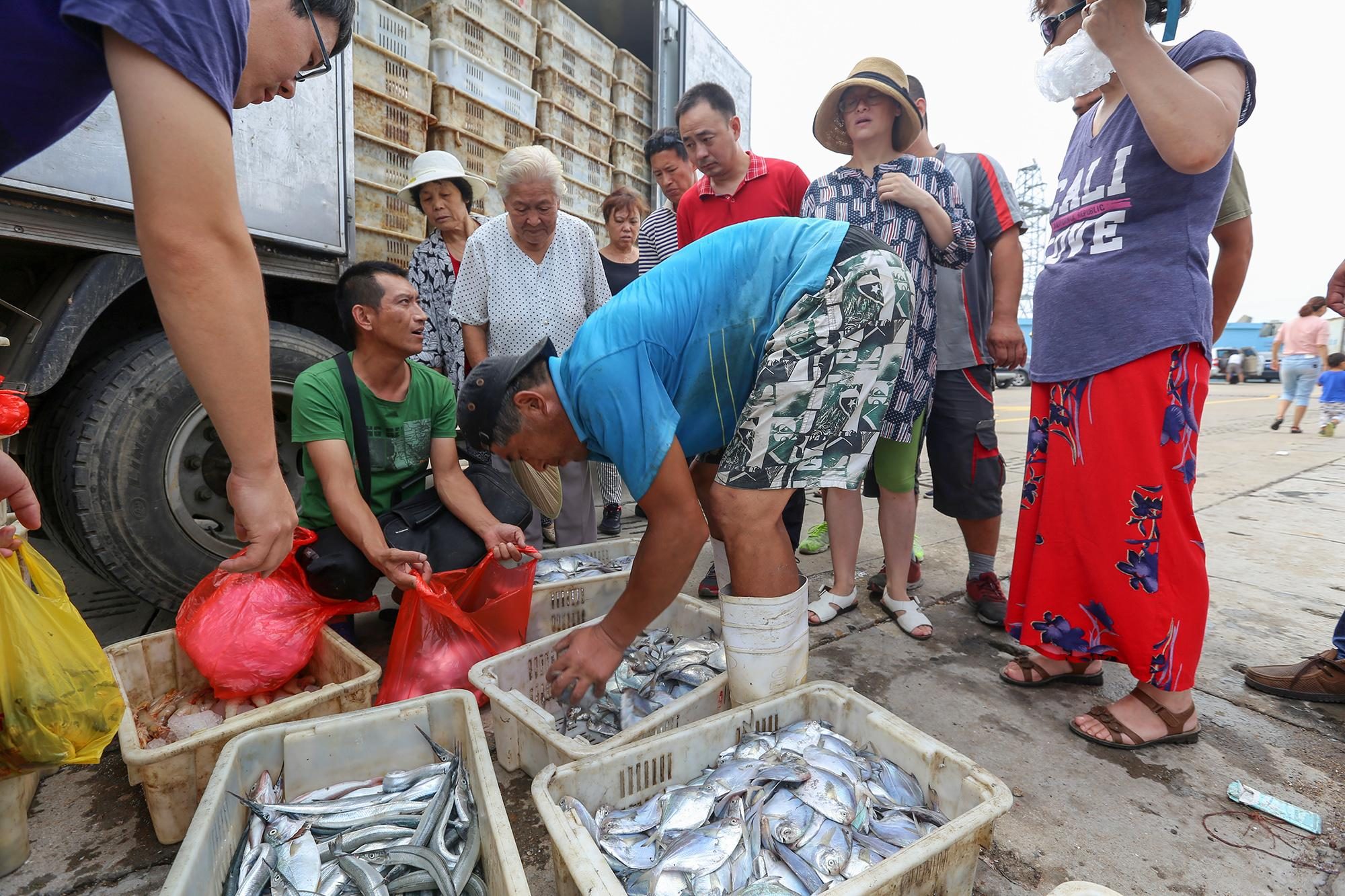 秋鲅魚2元一斤海捕大蝦18元一只 開海了大量海鮮賣出“白菜價(jià)”
