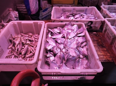 【4.18菜價(jià)】青島商超及批發(fā)市場果蔬最新價(jià)格