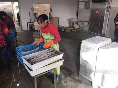 呂四袁家灶村:“土灶漁”帶動群眾就業