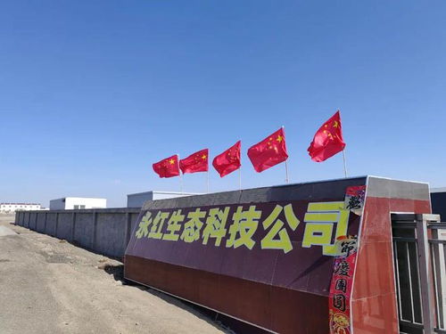 生化黃腐酸領(lǐng)軍企業(yè)收購礦源腐植酸工廠 有大布局