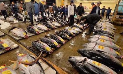 真不要臉! 挪威進(jìn)口日本產(chǎn)三文魚海產(chǎn)品,重新打標(biāo)簽后發(fā)往中國