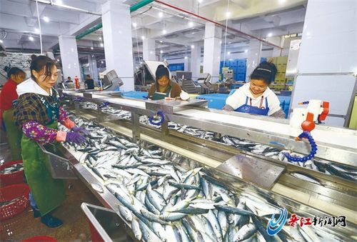 百源水產科技水產品加工項目投用