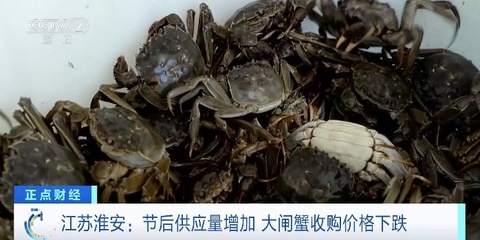 "錯峰"吃蟹正當時!節后螃蟹身價落,規格越大降越多