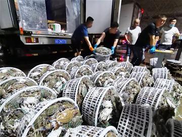 探訪城陽水產品批發(fā)市場:每天30萬斤螃蟹進青 一日之計在于“搶”