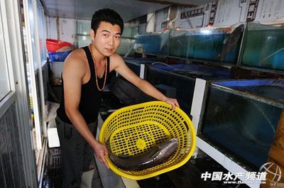 山東青島膠州灣漁民捕獲2頭長吸盤魚 - 圖說水產(chǎn) - 中國水產(chǎn)頻道 | 網(wǎng)聚全球水產(chǎn)華人
