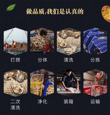 乳山生蠔廣東豐順批發(fā) 生蠔怎么做好吃又營養(yǎng)