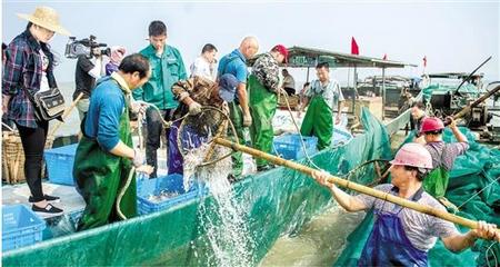 是禁漁還是退捕?見證太湖最后的傳統(tǒng)捕魚季