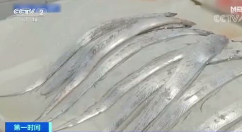 一棵大白菜賣24元 伙食費竟成家庭支出最大占比...這里發(fā)生了什么