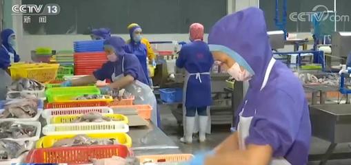 上半年“菜籃子”保供觀察 | 禽肉、水產品產銷秩序基本恢復