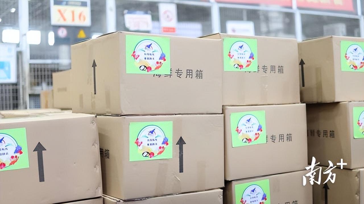 視頻 | 千里送蝦苗不誤養(yǎng)蝦時,廣東“抗疫航線”保供江浙市場