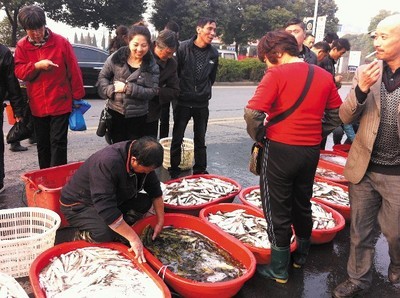 “水產(chǎn)早市”堵了半條進(jìn)城大道--德清新聞網(wǎng)