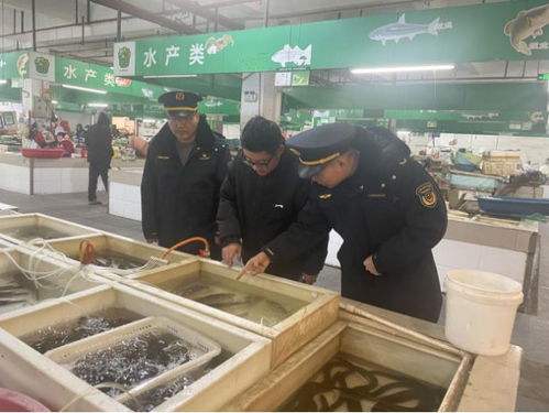 規(guī)范市場經營秩序 嚴把水產品質量關