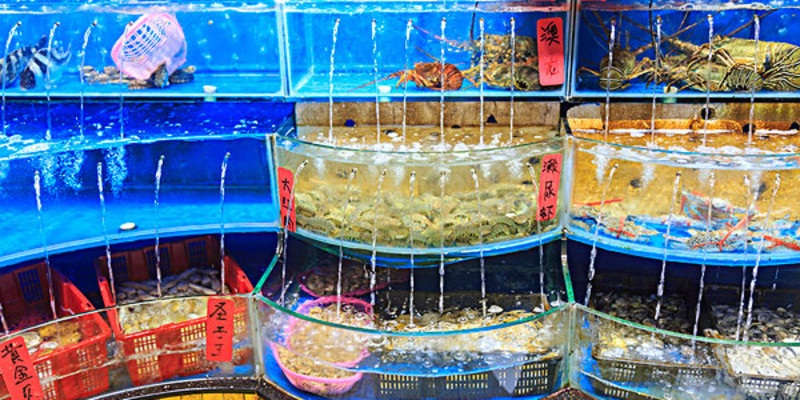 普蘭店水產(chǎn)品價(jià)格_專賣店_哪里買