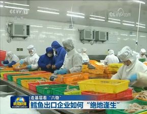 今晚,青島膠州一家水產(chǎn)企業(yè)上了央視新聞聯(lián)播 足足3分鐘 表揚(yáng) ,被點(diǎn)名的還有