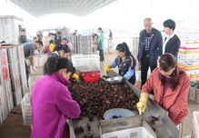 泰源水產(chǎn)助力沅江產(chǎn)業(yè)扶貧事業(yè)的步伐鏗鏘