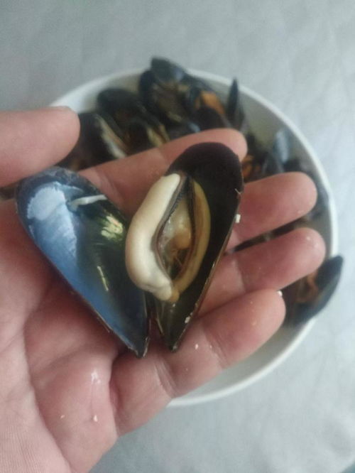 買海虹,掂量沉重 看大小 老水產(chǎn)人 都不對(duì),只需1招就夠用