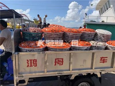 昨天中午12點,東海蝦兵蟹將瑟瑟發抖!哪吒?No,吃貨出動了!